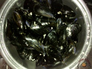 Cozze